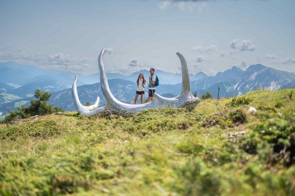 Via Artis Plan de Corones