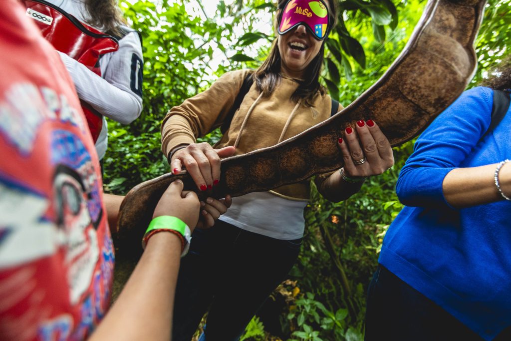 La serra tropicale del MUSE. Foto Archivio MUSE