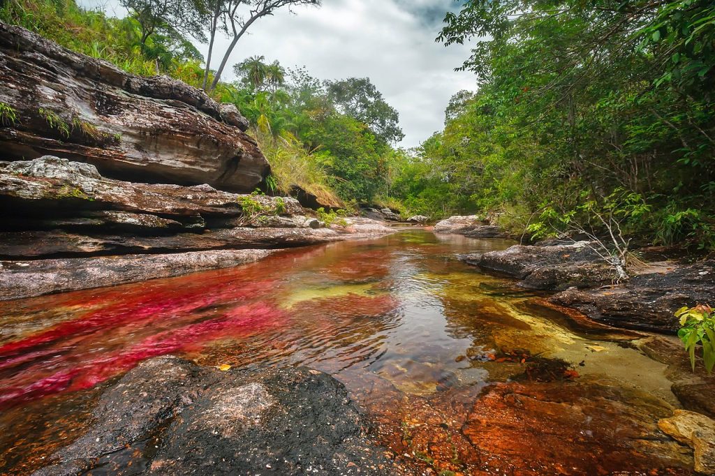 acqua, giornata mondiale acqua, cano cristales