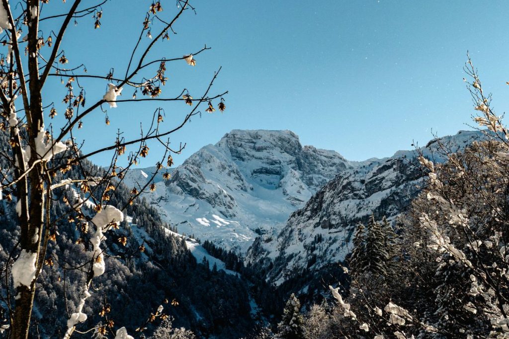 Il silenzio in realtà non esiste. Basta ascoltarlo per percepire tutti i fremiti sonori che lo riempiono. Foto Unsplash
