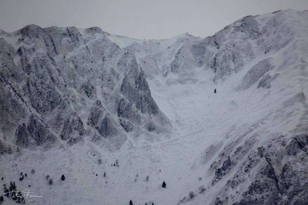 alpago, tita lorenza fain