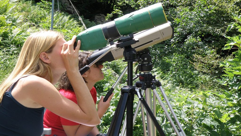Osservatori. Foto Aree Protette Alpi Marittime
