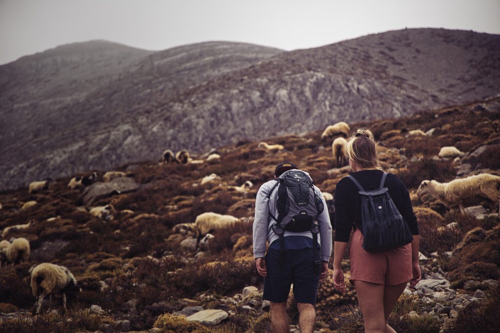 Foto  SERGIU JALBA da Pixabay