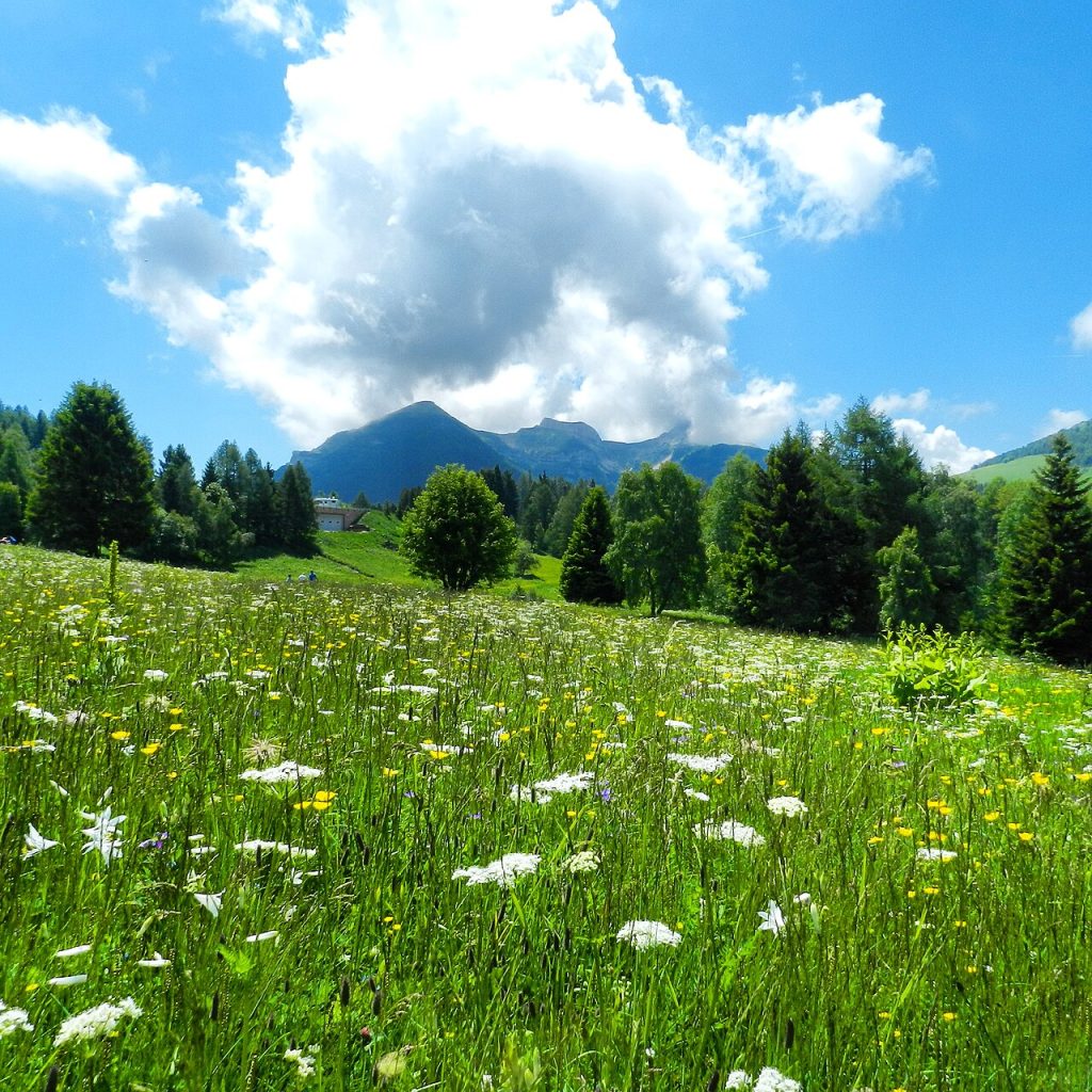 Località Viote - Foto Aly 1973 - Wikimedia Commons, CC BY-SA 4.0