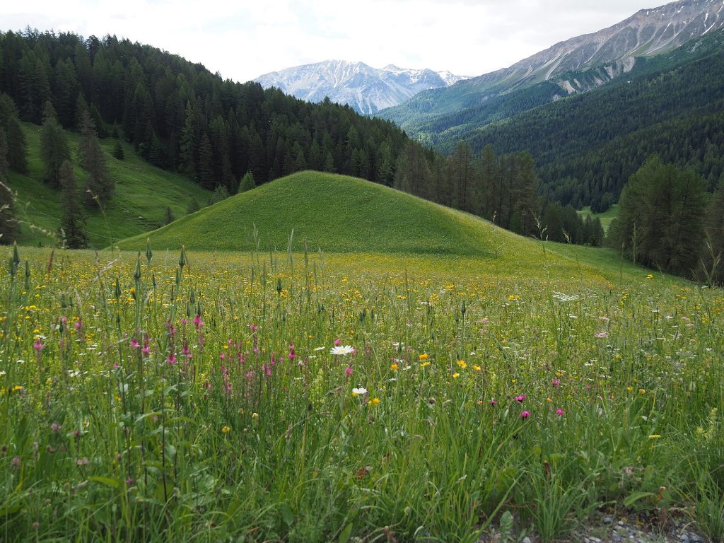 Val Mustair - Foto Lusi Lindwurm - Wikimedia Commons, CC BY-SA 4.0