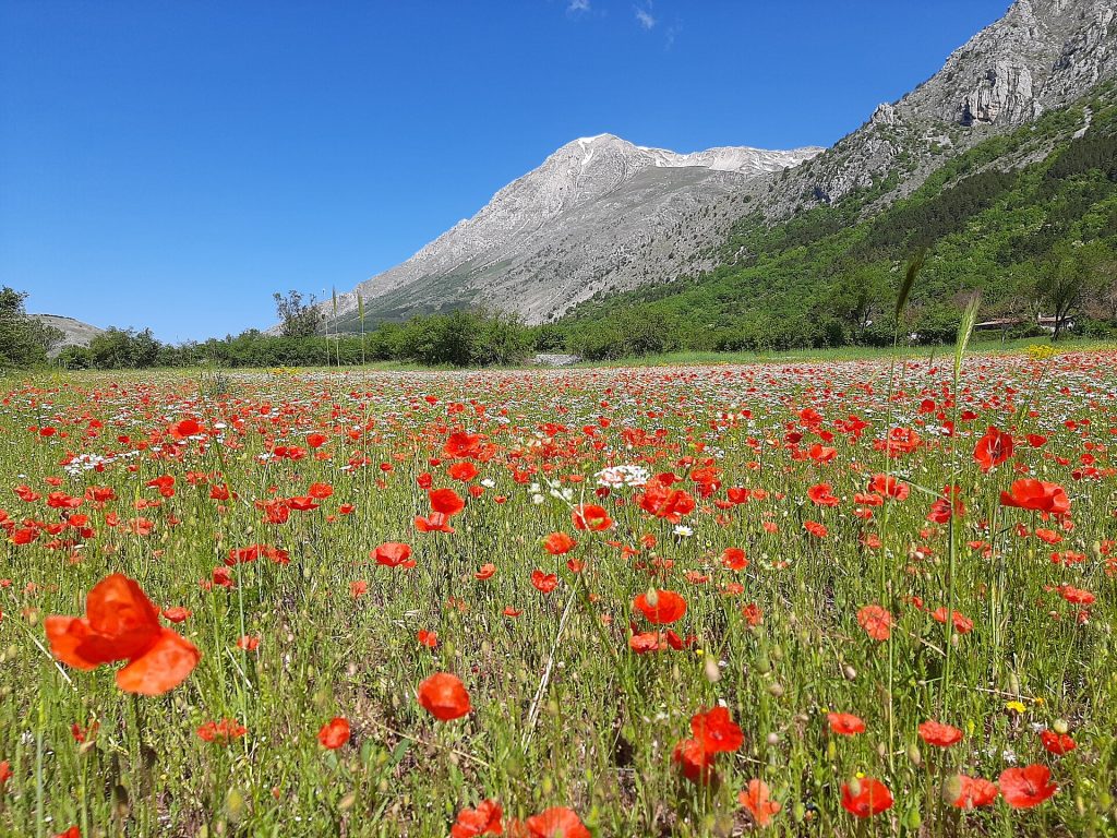 Parco Sirente Velino - Foto Irene Crea - Wikimedia Commons, CC BY-SA 4.0