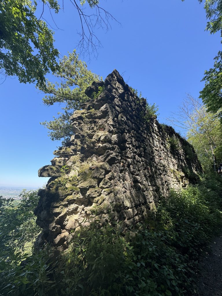Resti archeologici su Rocca Pendice - Foto Matycu - Wikimedia Commons, CC0