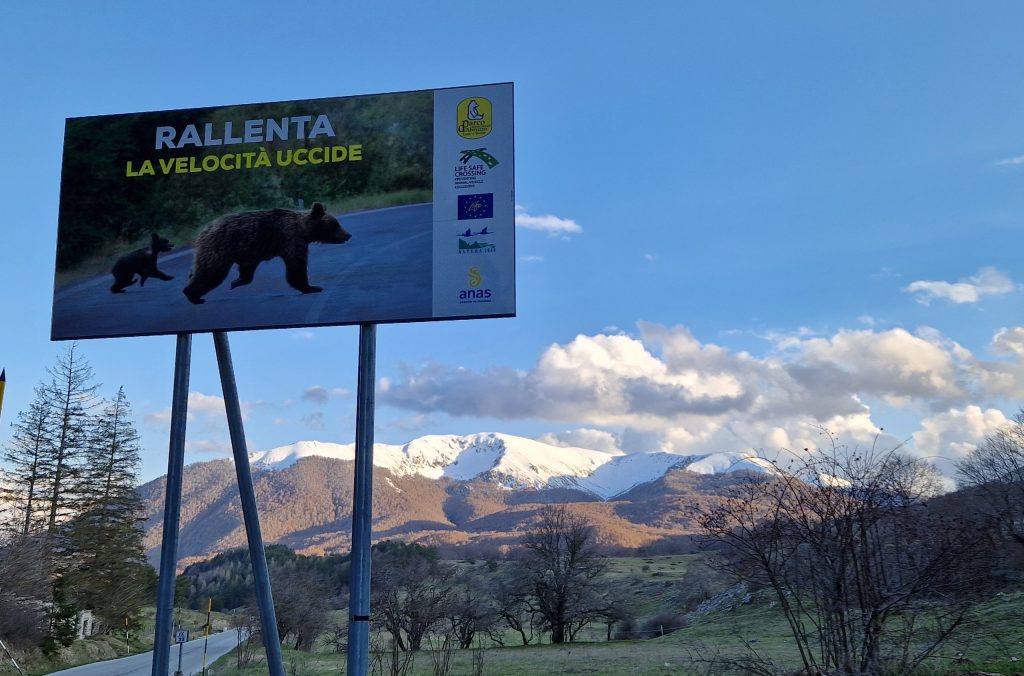 manifesto, parco nazionale d'abruzzo