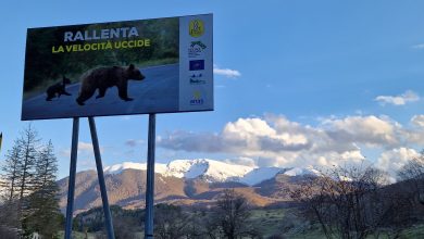 manifesto, parco nazionale d'abruzzo