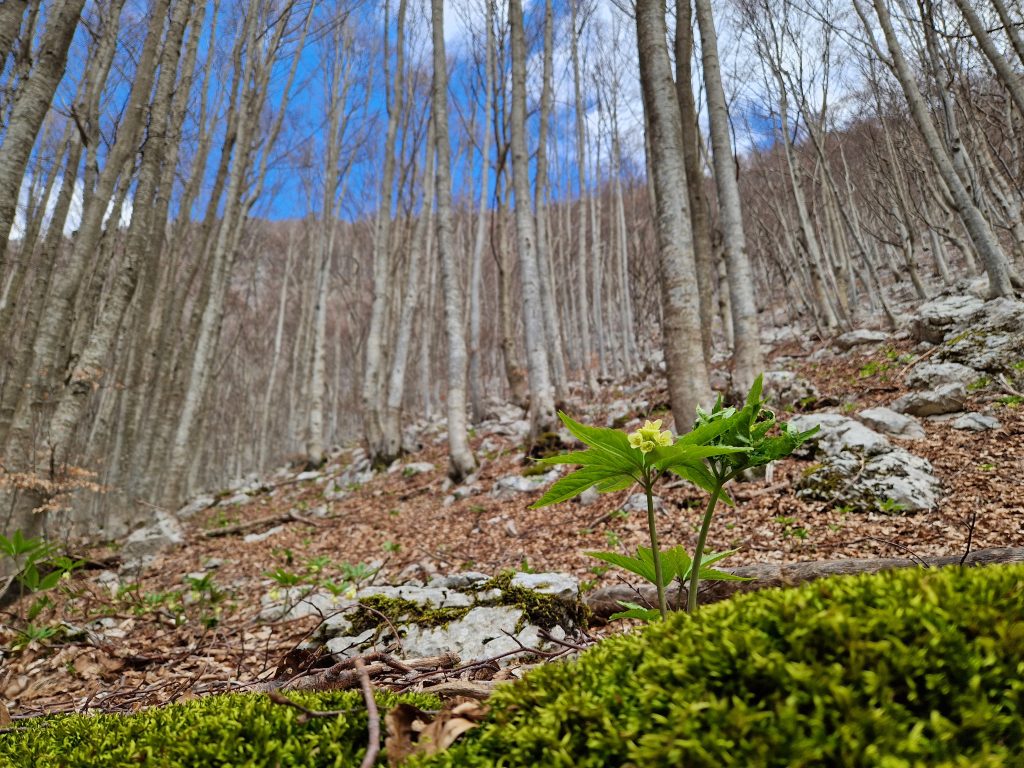 PNALM - Foto Tatiana Marras