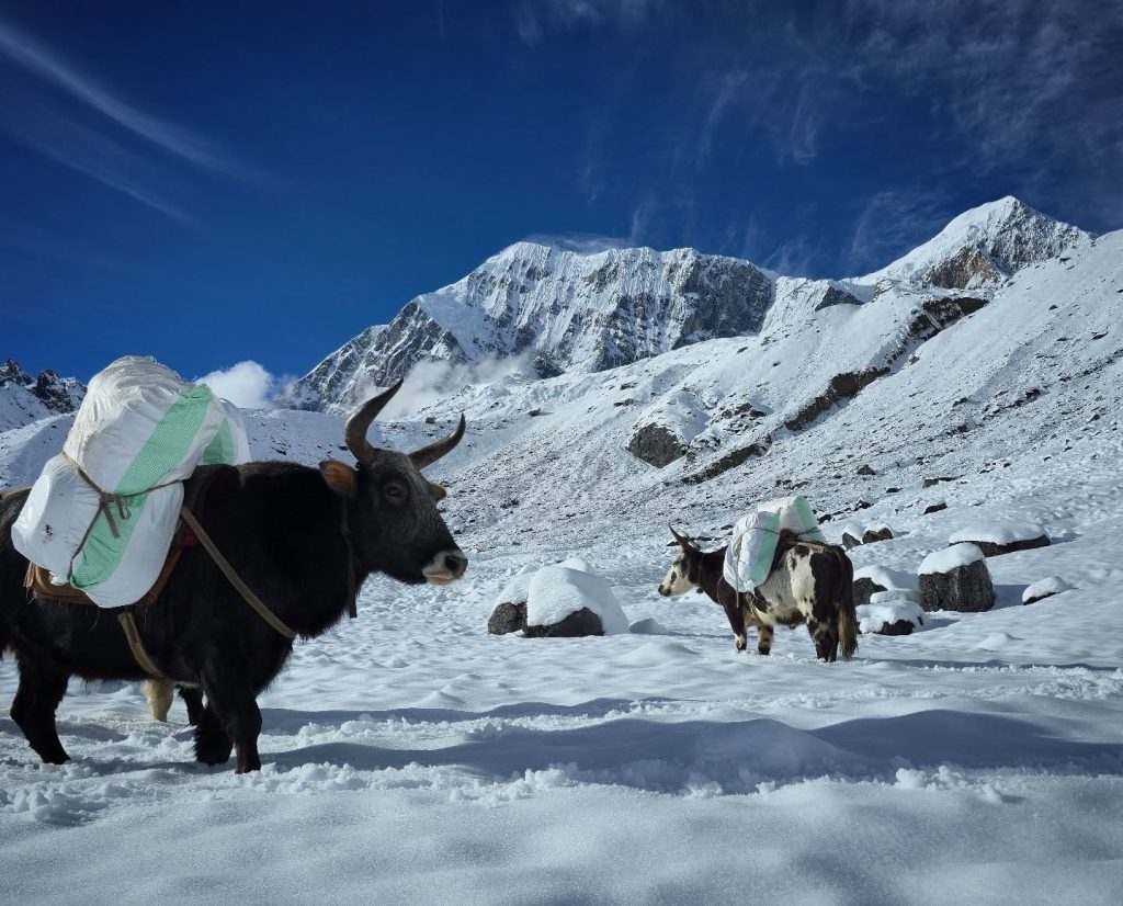 Spedizioni in Nepal - Foto FB Summit Travel