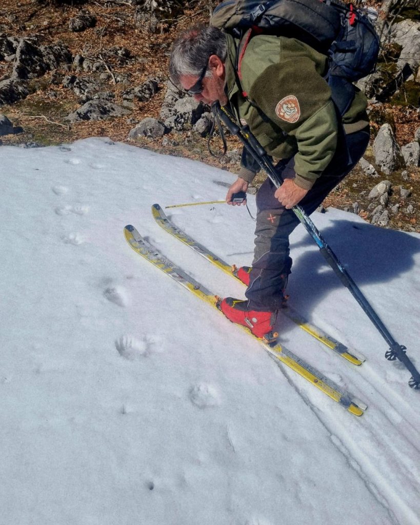 Le prime tracce di Nina nella neve - Foto ©PNALM