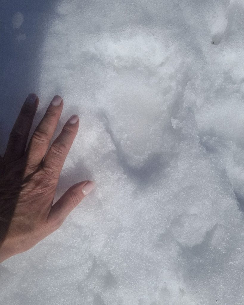 Le prime tracce di Nina nella neve - Foto ©PNALM