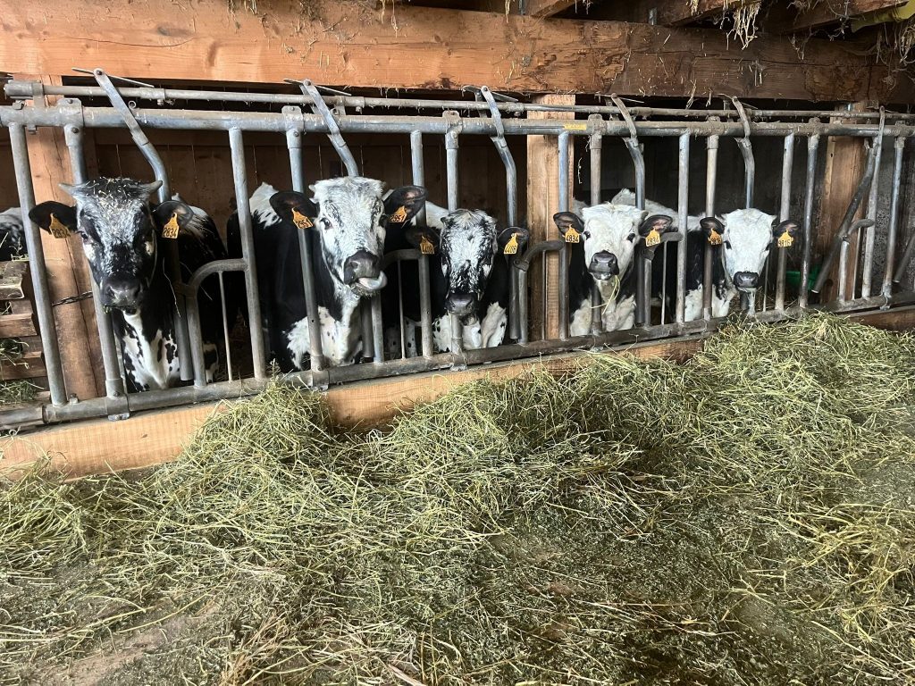 Le 5 allieve di Moosch - Foto Fb Village de Moosch