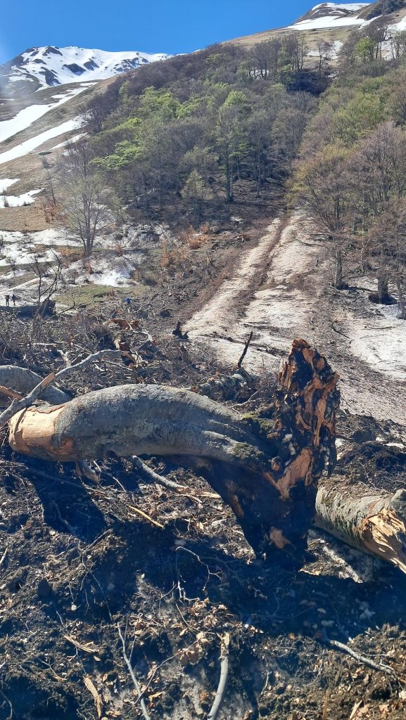 Foto FB Davide Peluzzi