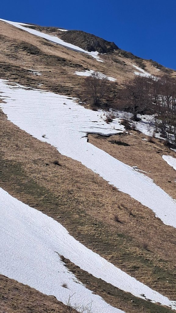 Foto FB Davide Peluzzi