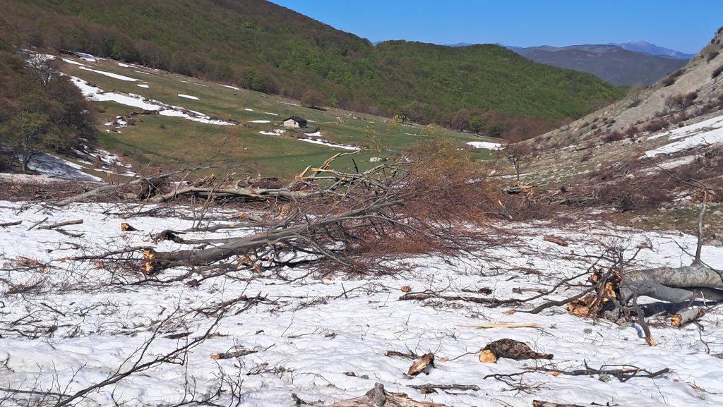 Foto FB Davide Peluzzi