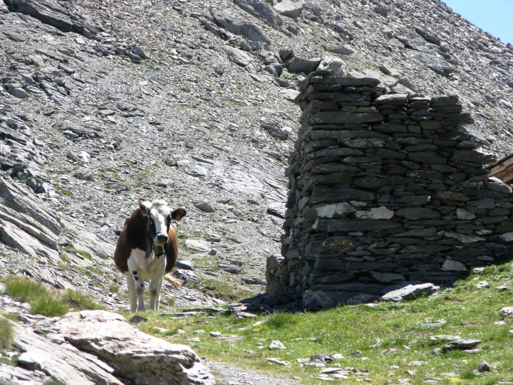 Baraccamento al Colle del Beth. Foto Wikimedia Commons
