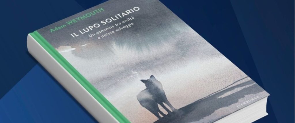 La copertina del libro vincitore. "Il lupo solitario"