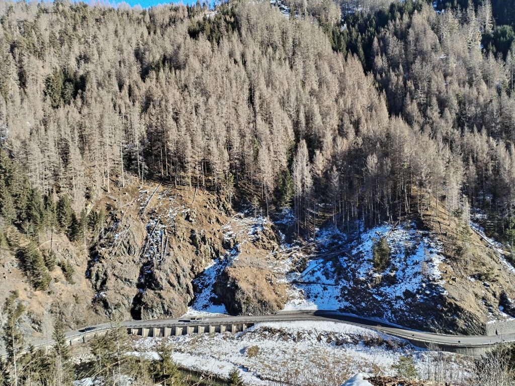 Ampie aree forestali in terreni molto ripidi e difficili nella gola della Val Badia, soprattutto nella zona boschiva di Plaies, sono state danneggiate da un