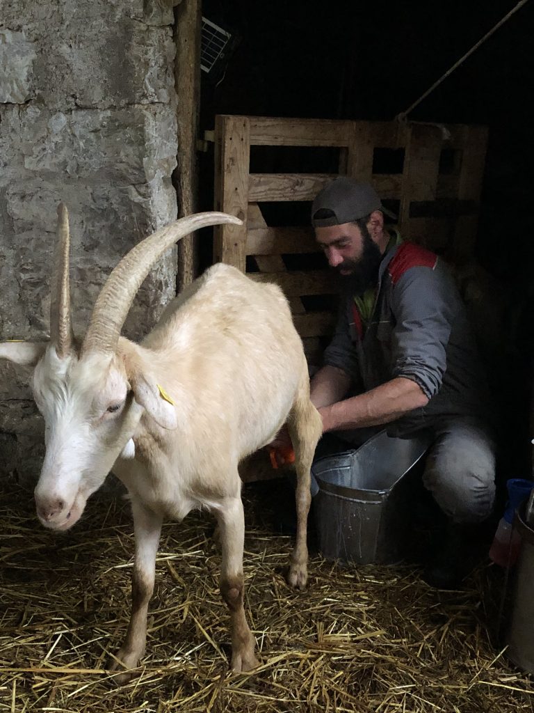 Un frame da "Ritorno al Tratturo"