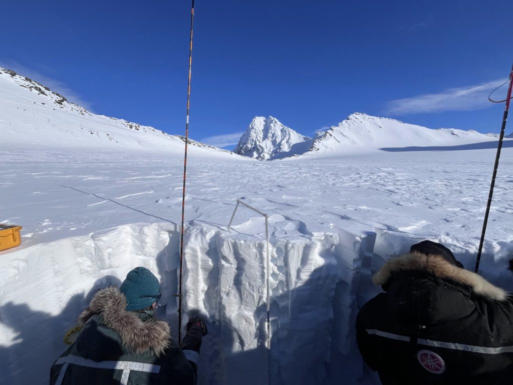 Campionamento del manto nevoso durante il periodo primaverile. Foto Federico Scoto / Cnr-Isp