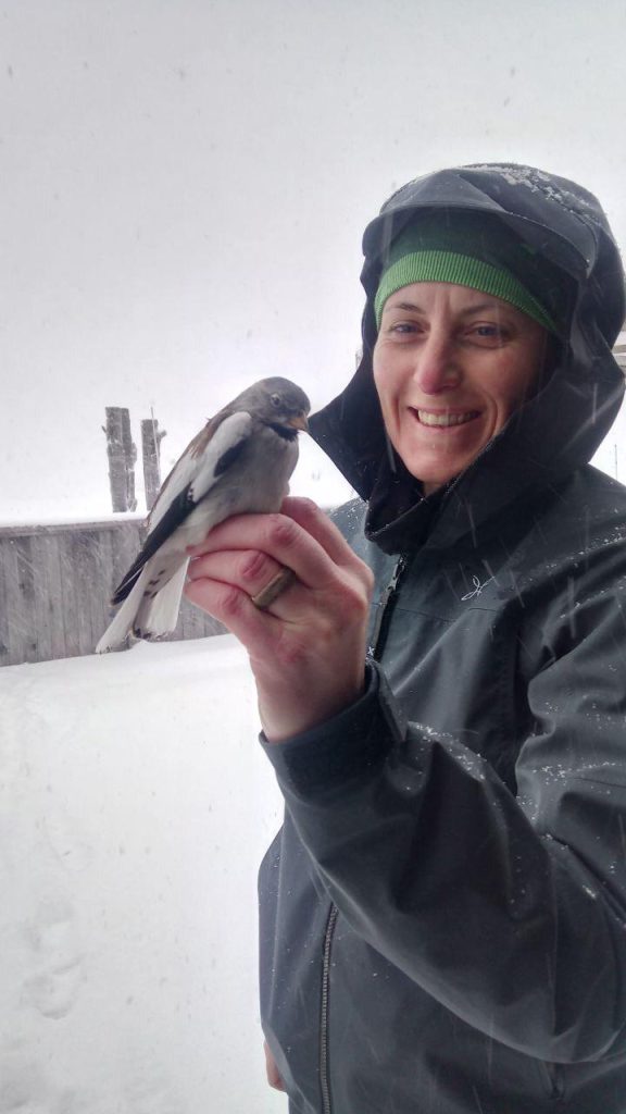 La ricercatrice Chiara Bettega, MUSE