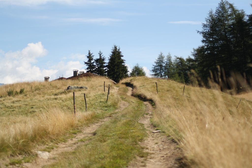 Foto Wikimedia Commons