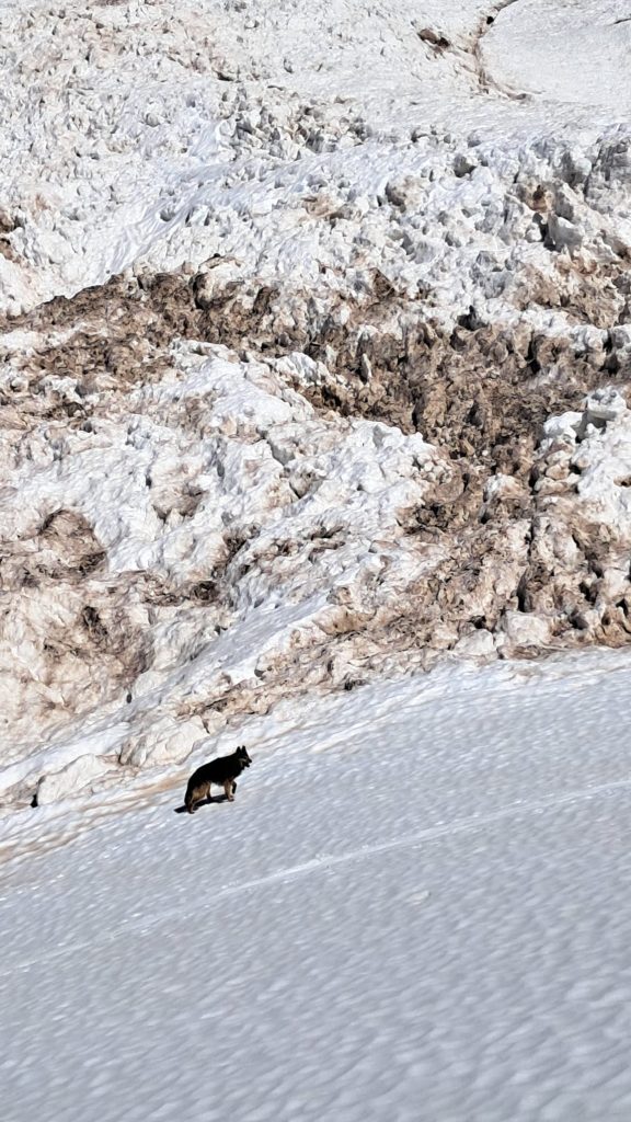 Foto FB Davide Peluzzi