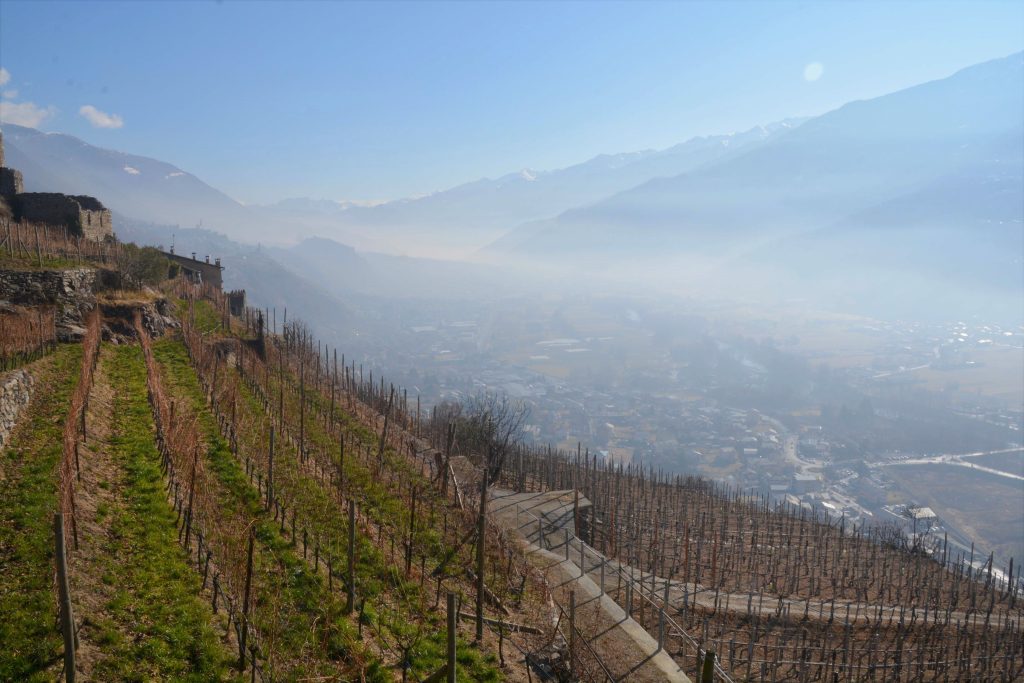 Foto di Alejandro Gianoli da Pixabay