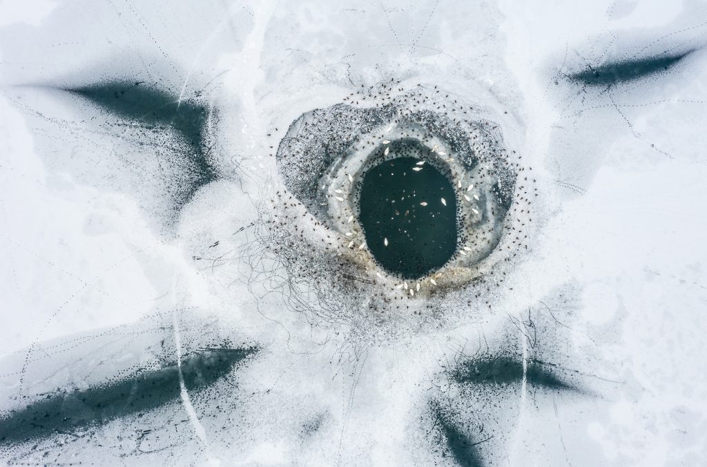 GDT Nature Photographer of the Year 2026 - Vincitore di categoria Prize of the Jury - Roy Müller - Shelter at the ice hole