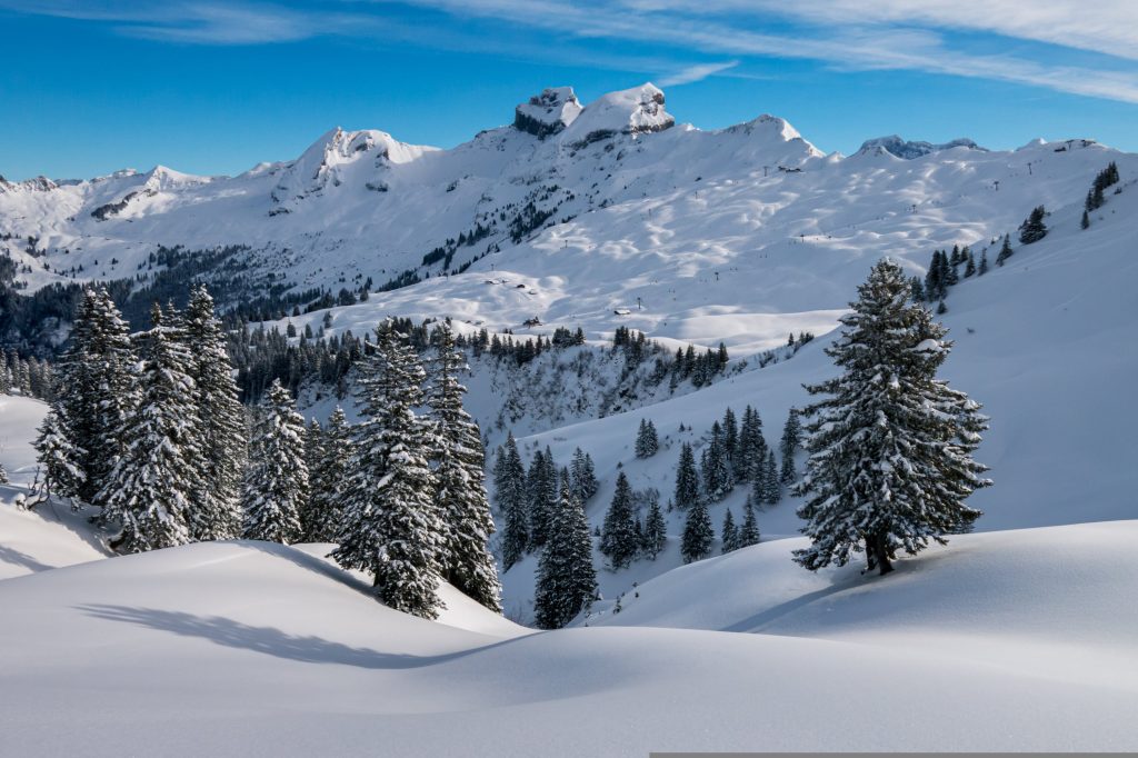 Foto di Jörg Vieli da Pixabay