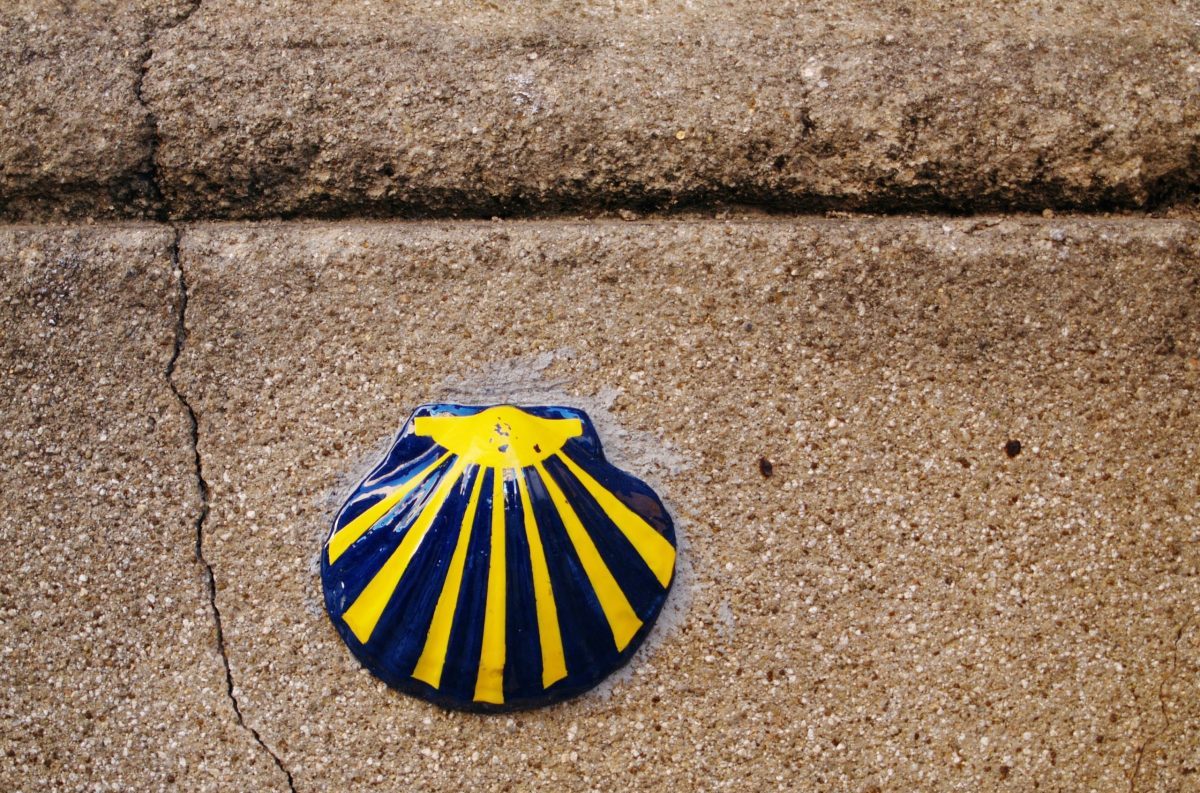 cammino, santiago