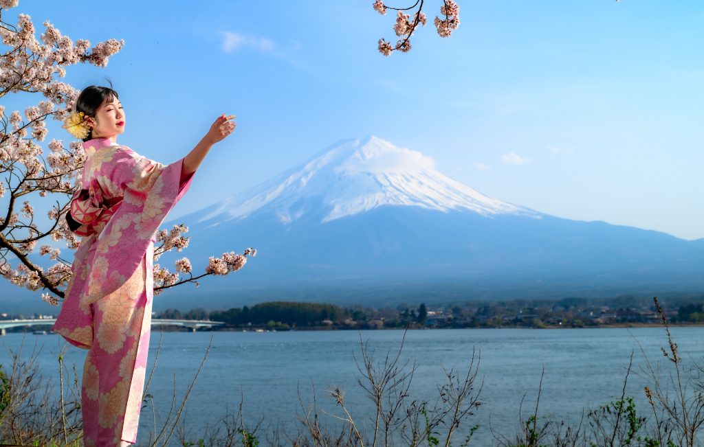 giappone, ciliegi, fuji