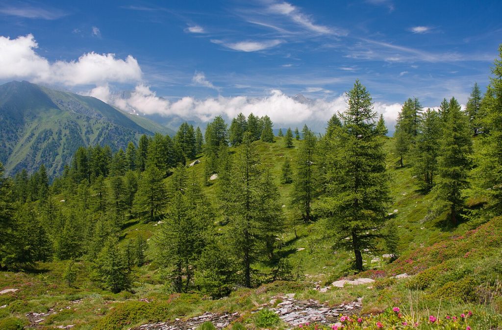 scuola di montagna, val germanasca