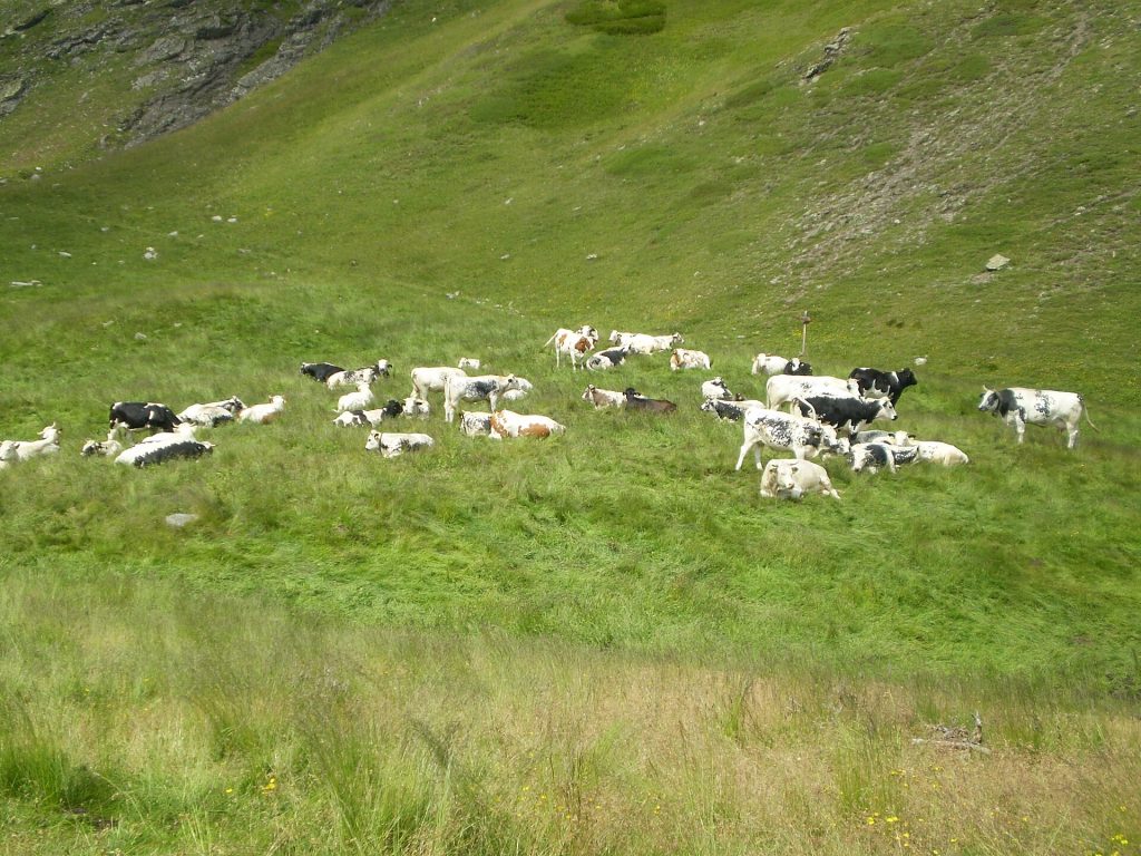 Val Germanasca - Foto Superchilum - Wikimedia Commons, CC BY 3.0