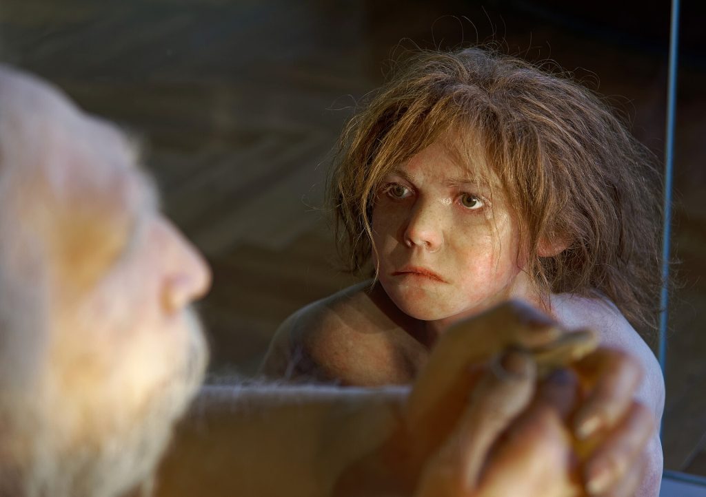 Giovane Neanderthal al The Natural History Museum di Vienna - Foto Jakub Hałun - Wikimedia Commons, CC BY-SA 4.0
