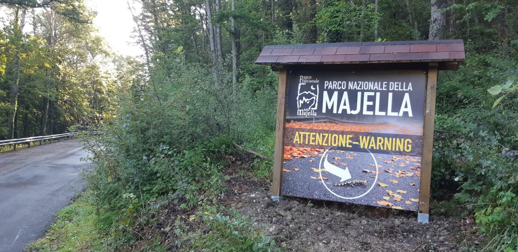 Una strada per le salamandre - Foto Marco Carafa/Parco Nazionale della Maiella
