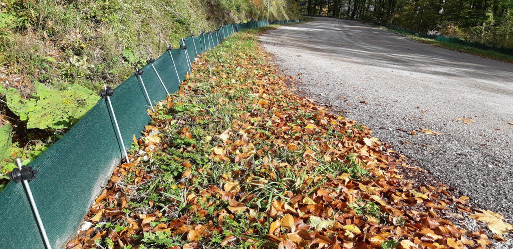 Una strada per le salamandre - Foto Marco Carafa/Parco Nazionale della Maiella