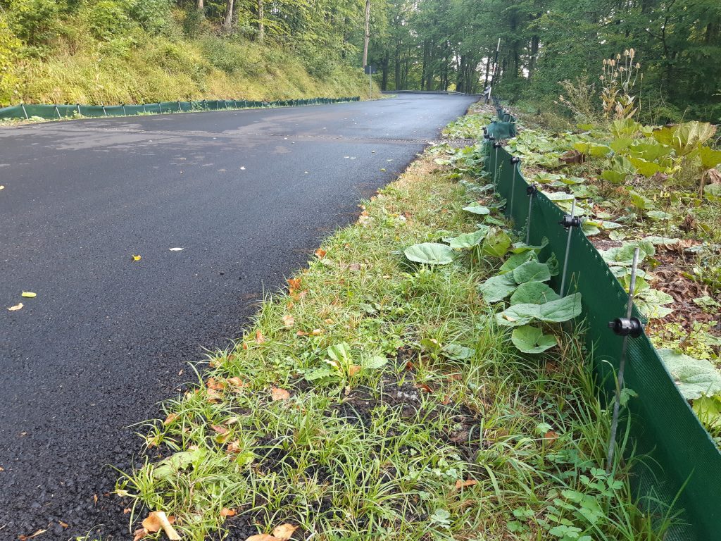 Una strada per le salamandre - Foto Marco Carafa/Parco Nazionale della Maiella