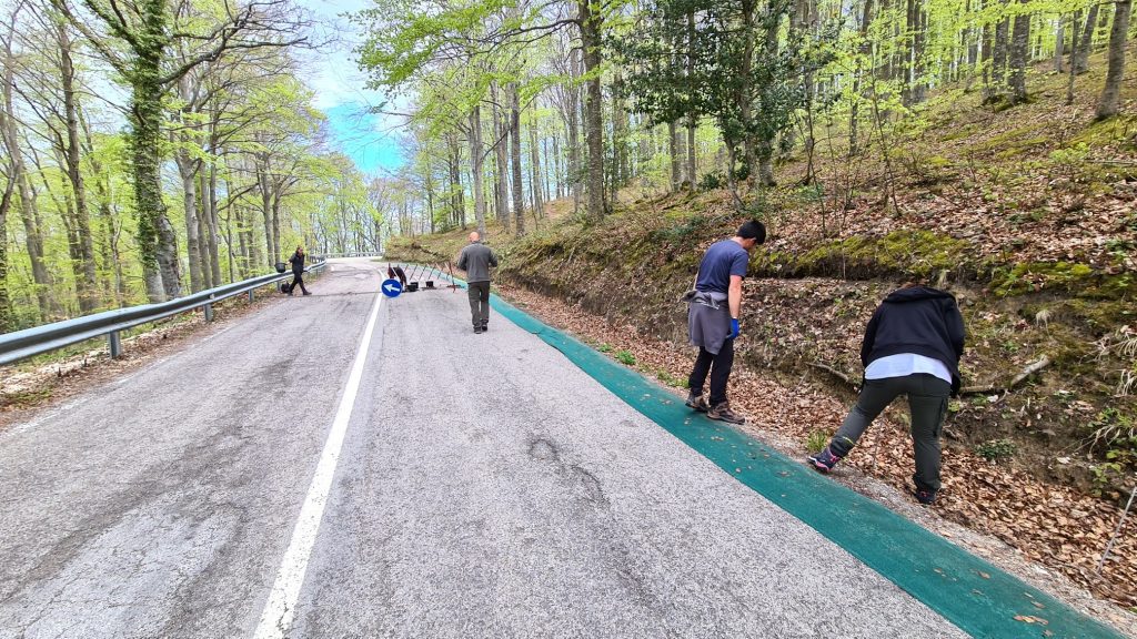 Una strada per le salamandre - Foto Marco Carafa/Parco Nazionale della Maiella