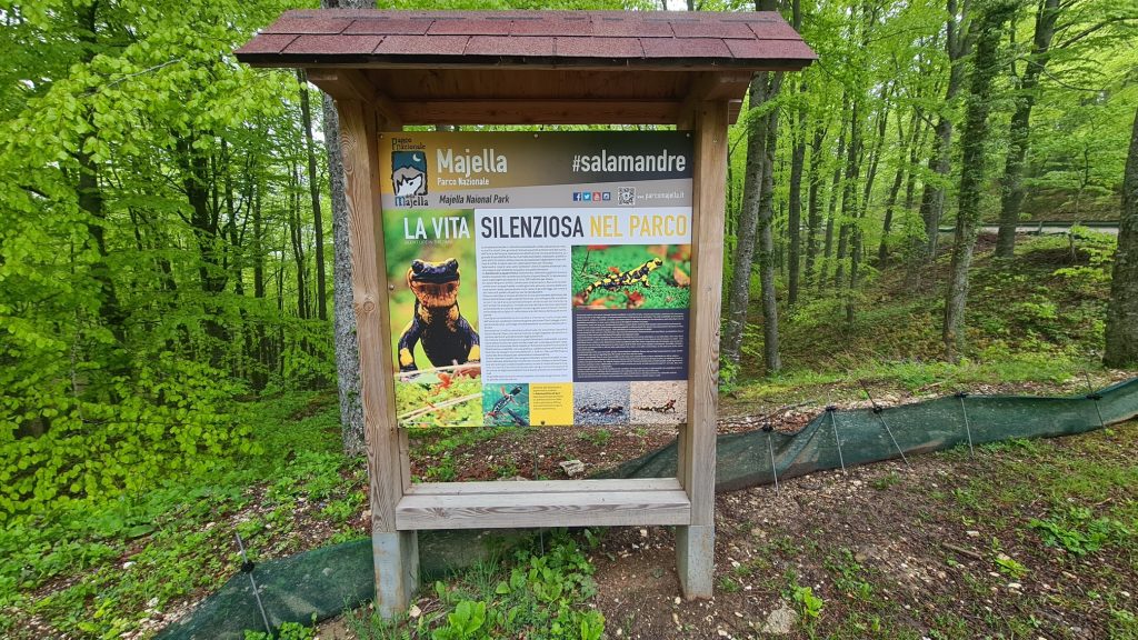 Una strada per le salamandre - Foto Marco Carafa/Parco Nazionale della Maiella