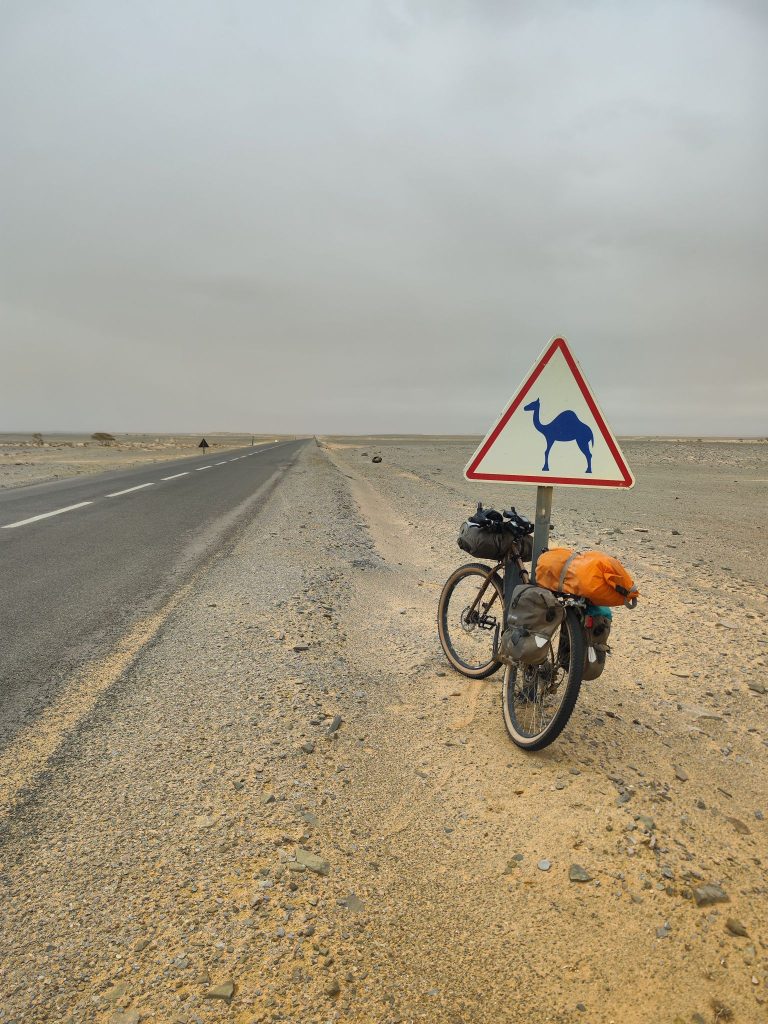 Nel deserto del Sahara. Foto Lorenzo Barone