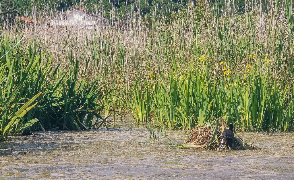 Lago di Posta Fibreno - Foto Guglielmo Di Camillo