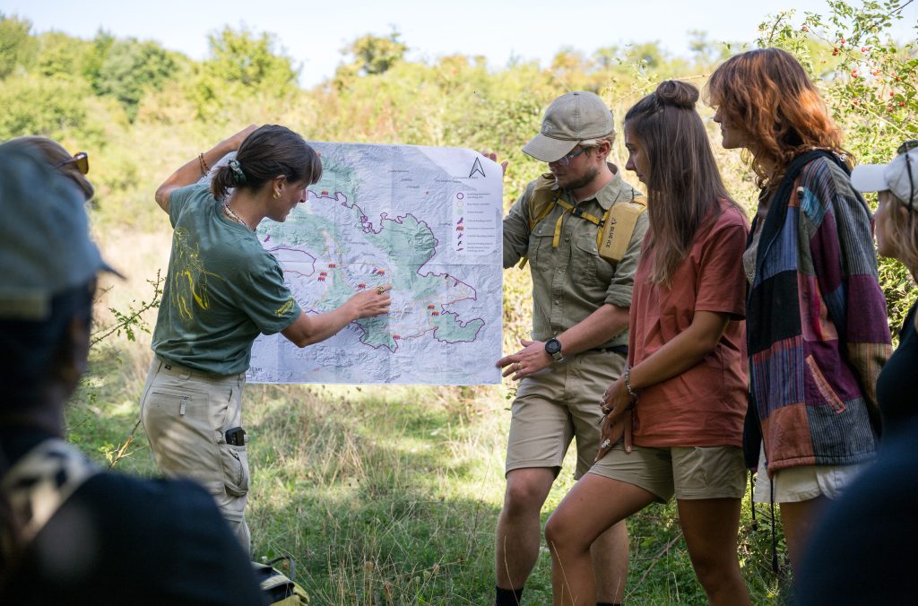 corridoi ecologici, rewilding apennines