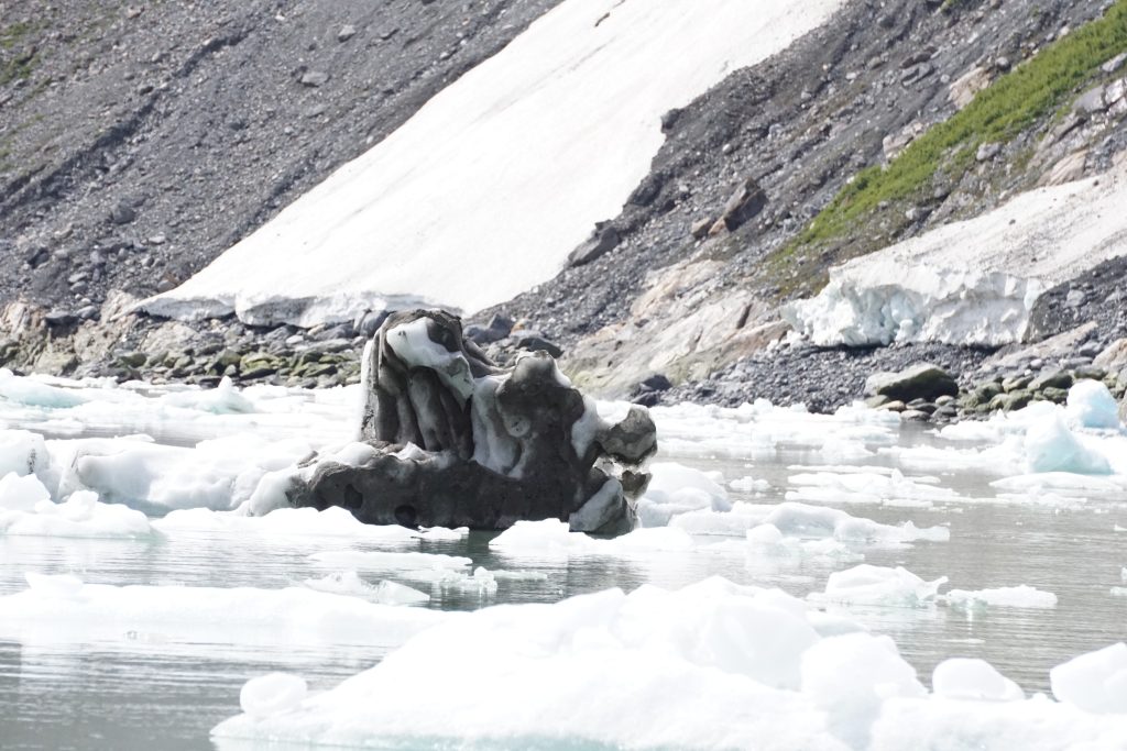 South Sawyer Glacier - Foto Dankarl - Wikimedia Commons, CC BY-SA 4.0