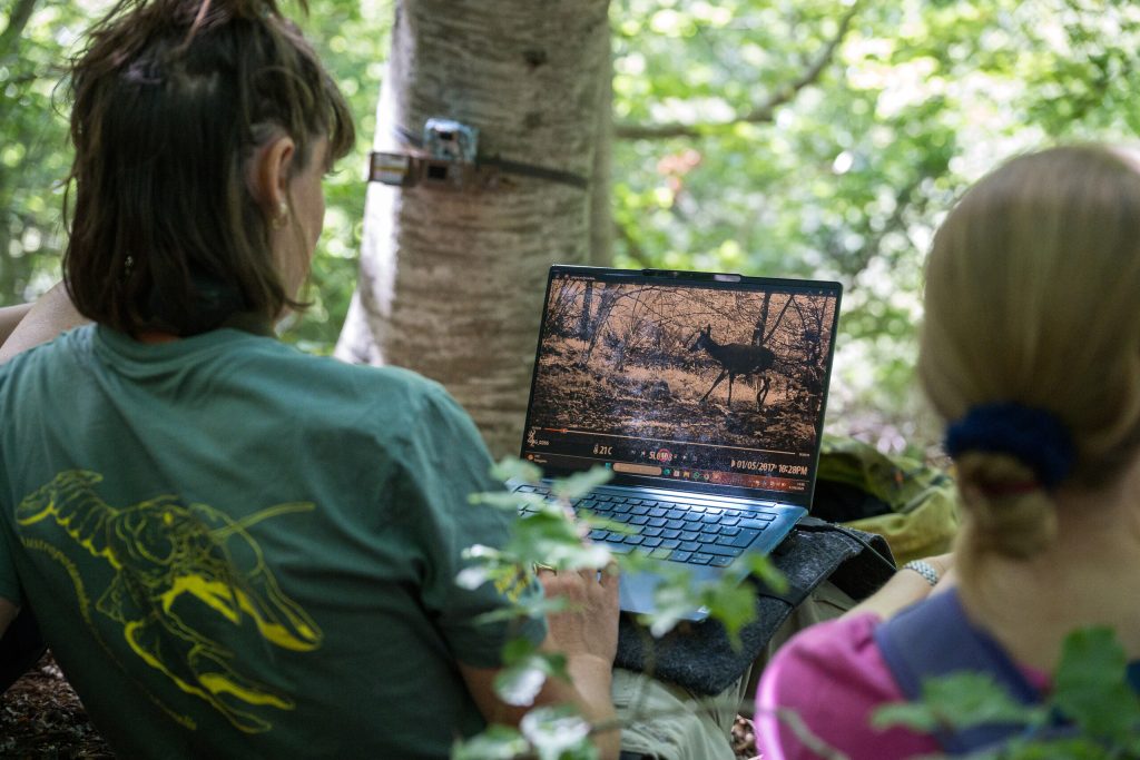 Controllo fototrappola per monitoraggio corridoi ecologici - Foto Filippo Castellucci