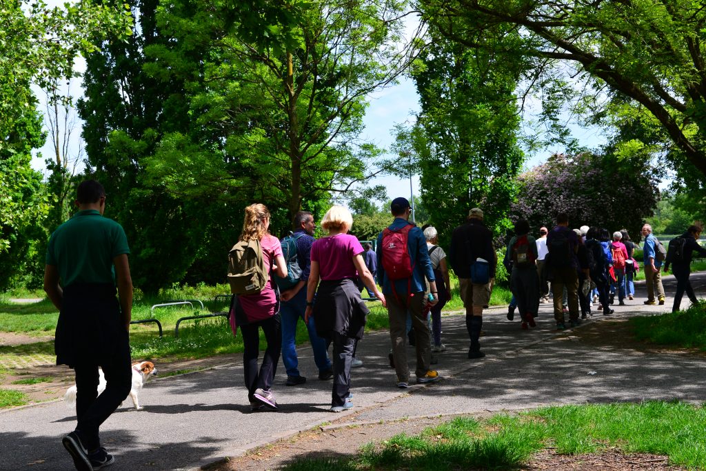 Parco Sempione. Foto di Andrea Bolzoni