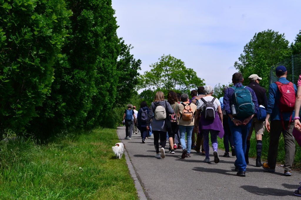 Parco Sempione. Foto di Andrea Bolzoni