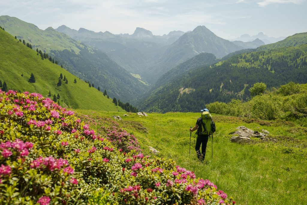 Alpi Carniche @Devis Solerti